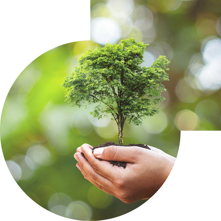 关怀人类、文化、环境与社会